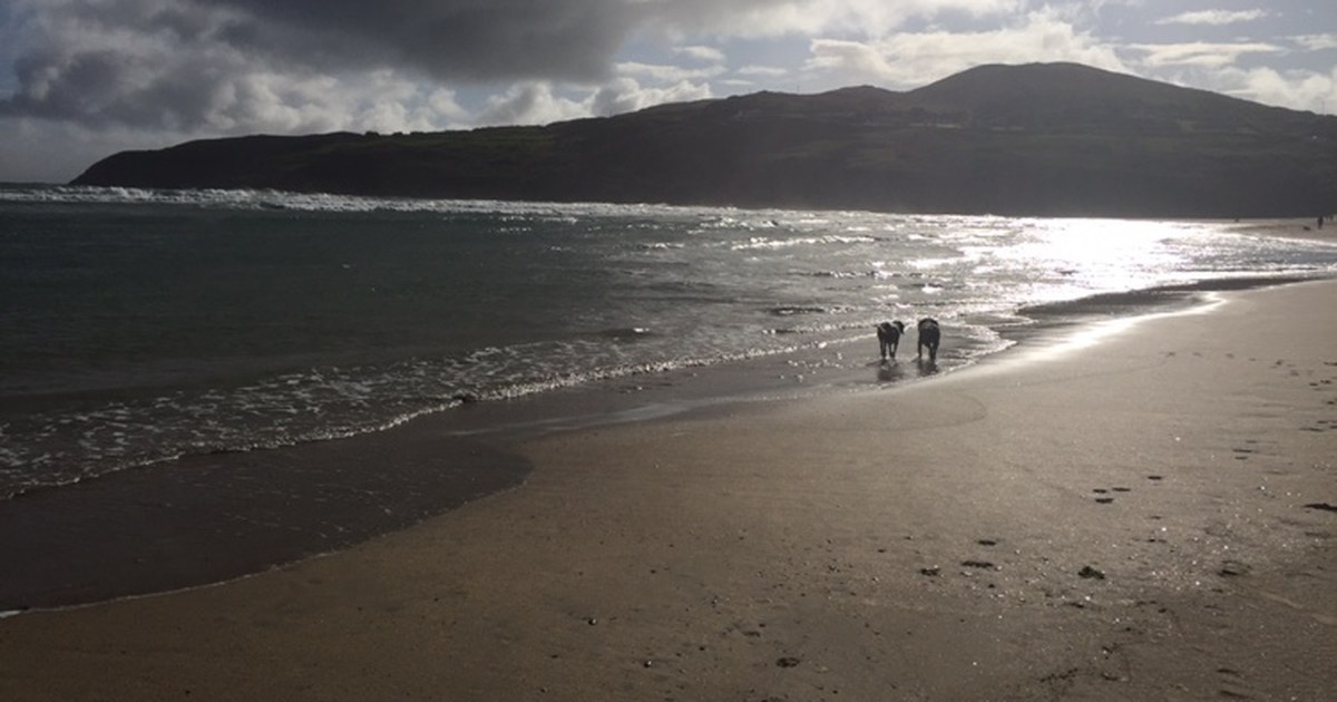 Barleycove Beach, Co. Cork