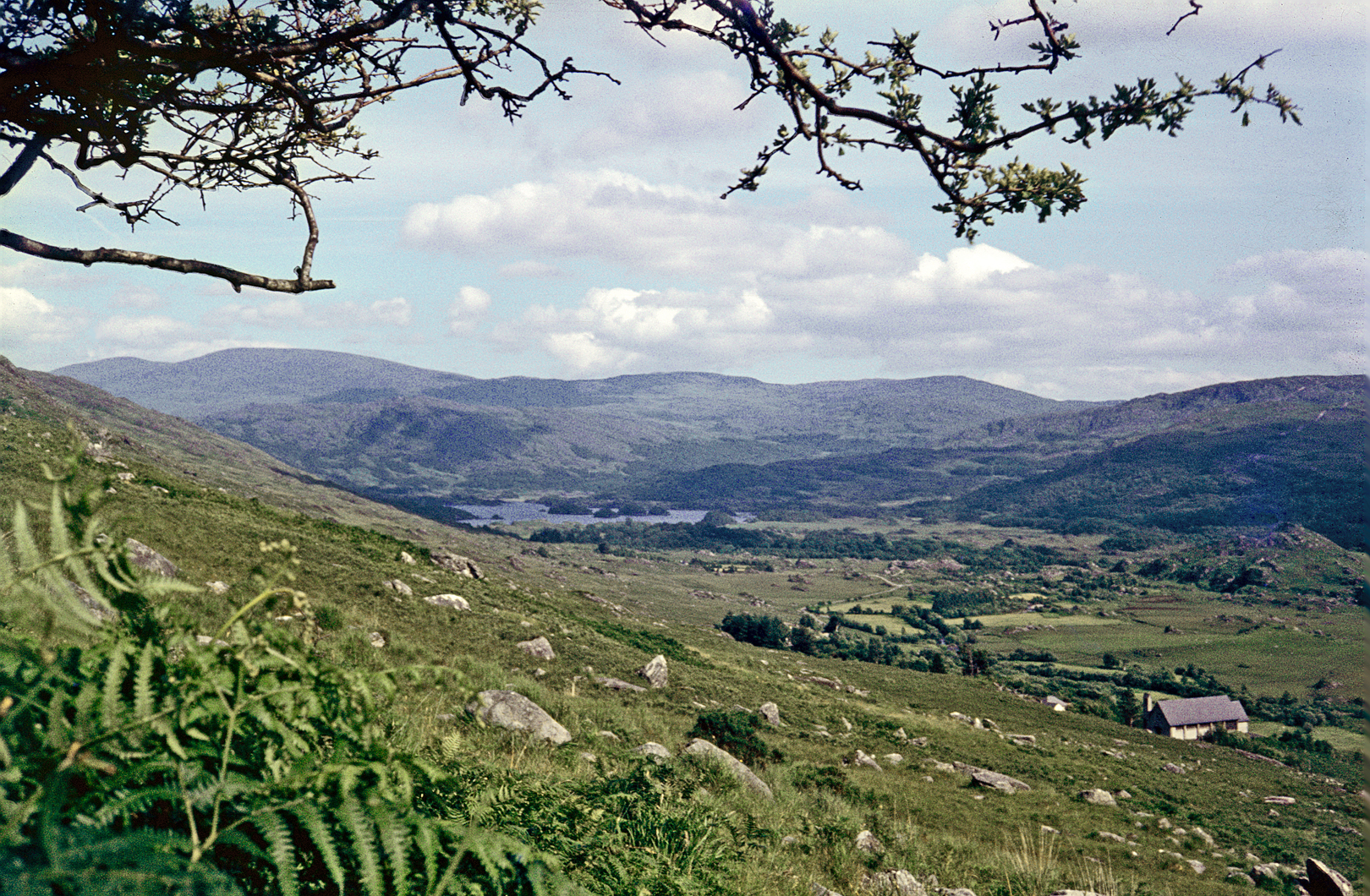 Black Valley, County Kerry: The Last Place in Ireland to Get Electricity (1976)