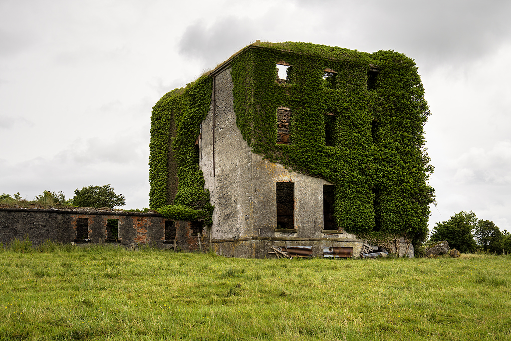 Ivy-covered ruins of Castle Gore, an abandoned Irish country house in County Mayo, symbolic of Ireland’s family heritage and history