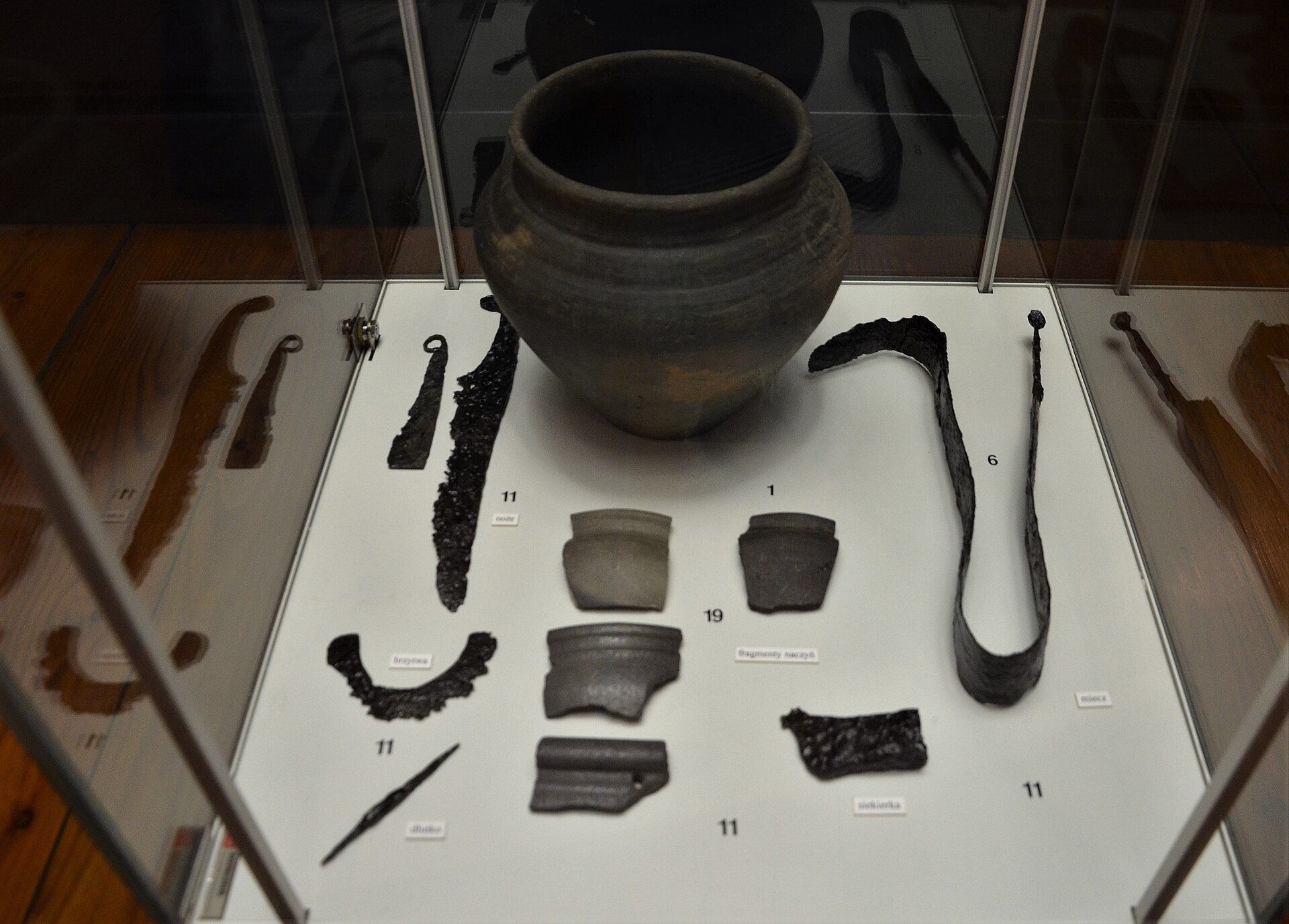 Celtic Warriors: The Real Clans and Battle Traditions Behind Ireland’s Greatest Legends