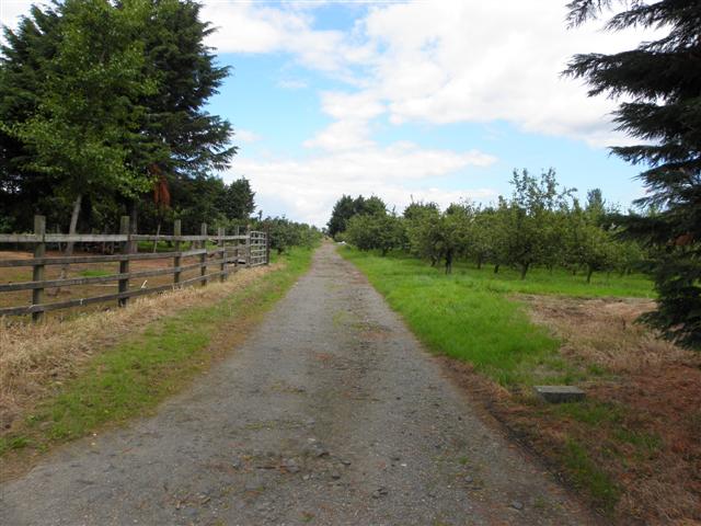County Armagh: The Orchard County Where Faith and Mythology Collide