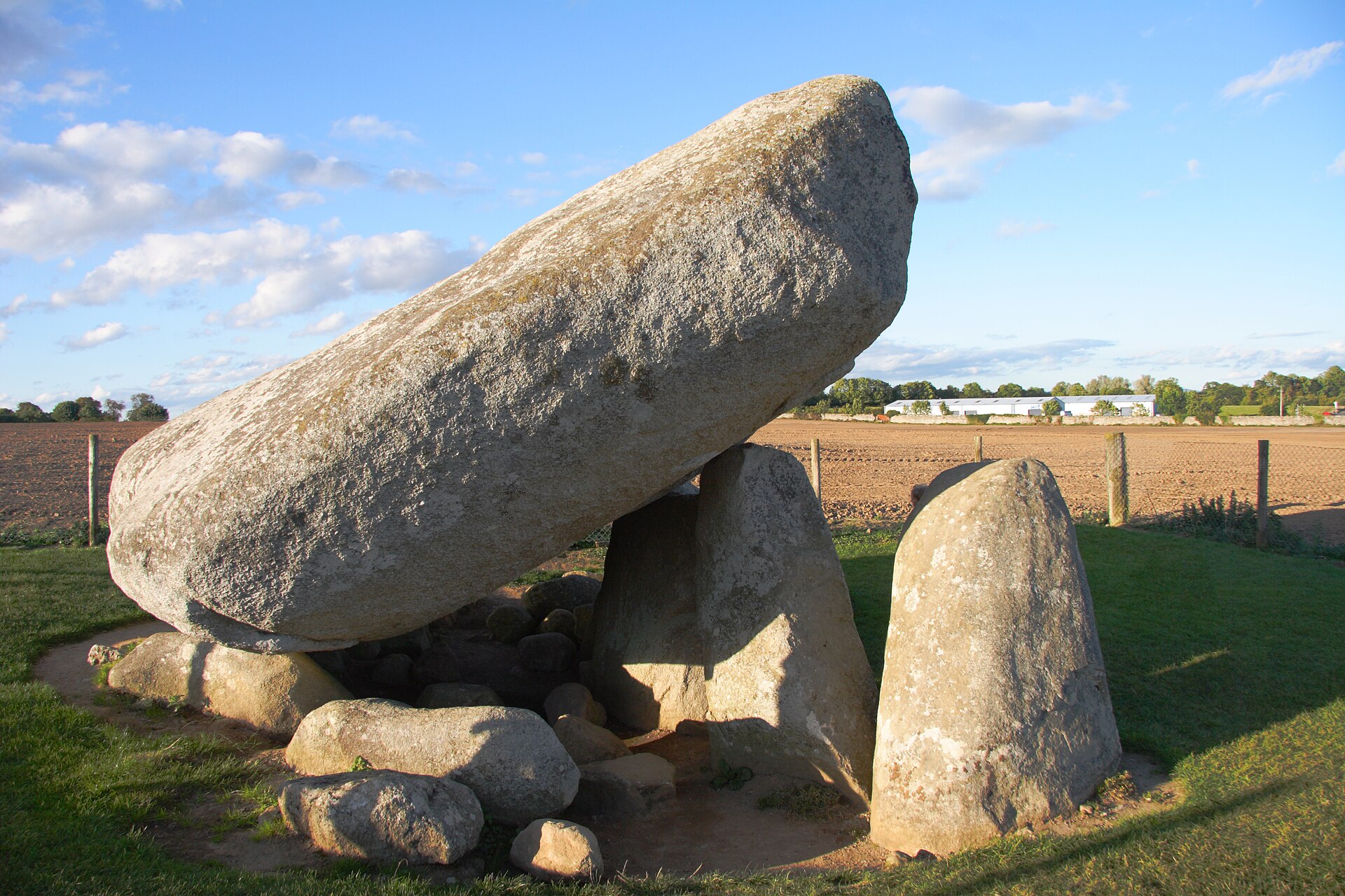 County Carlow: Browneshill Dolmen, Altamont Gardens & Things to Do