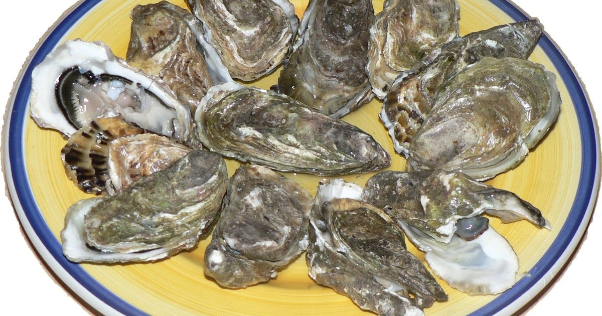 Galway's oysters take over the bay** — The Galway International Oyster & Seafood Festival returns 25–27 September with seafood trails, tastings, music and the famous shucking championship on the shores of Galway Bay. *Ireland.com* — https://www.ireland.com/en-us/magazine/culture/irelands-autumn-festivals/
