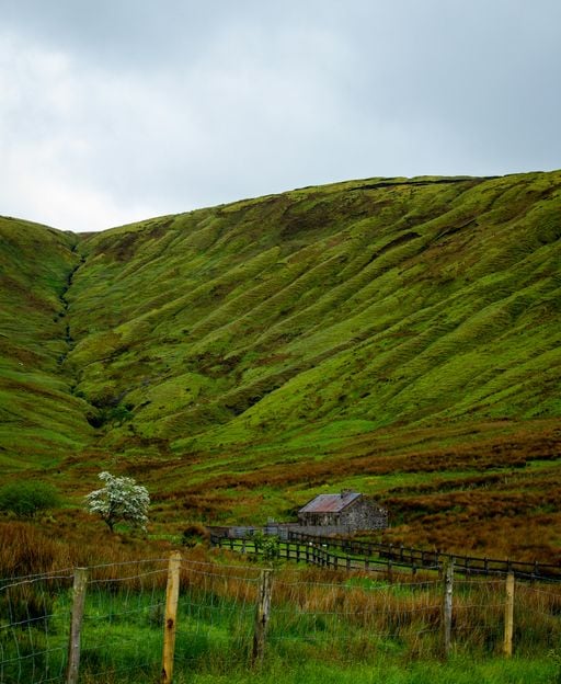 Old stone farmhouse in a green Irish valley, representing ancestral Irish homes in Griffith's Valuation records