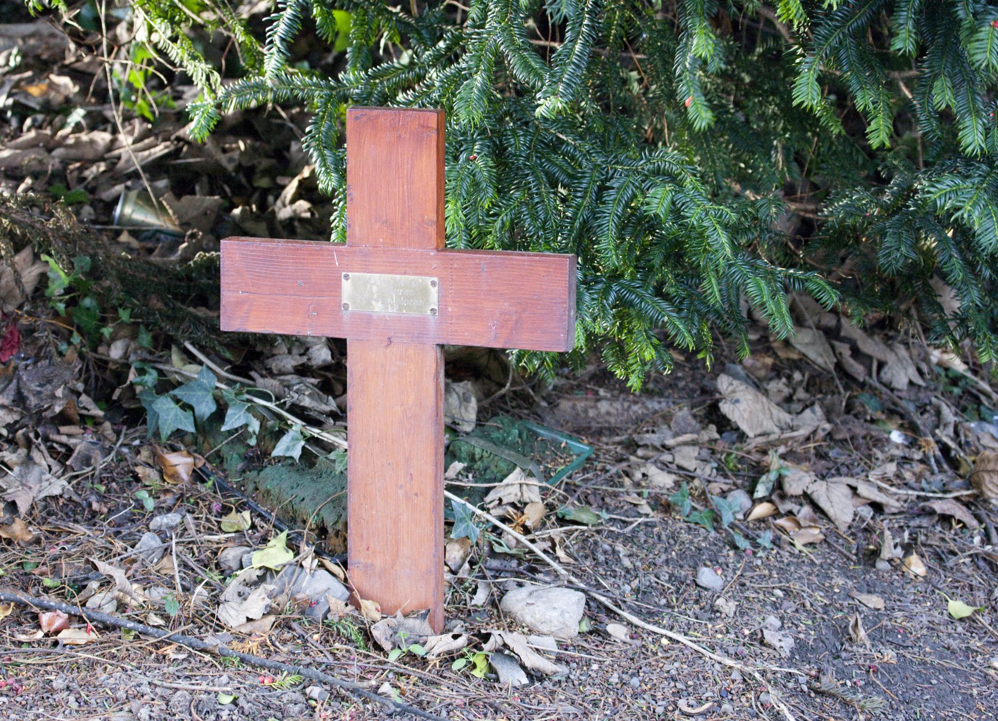 Simple wooden cross among headstones at Glasnevin Cemetery, Dublin