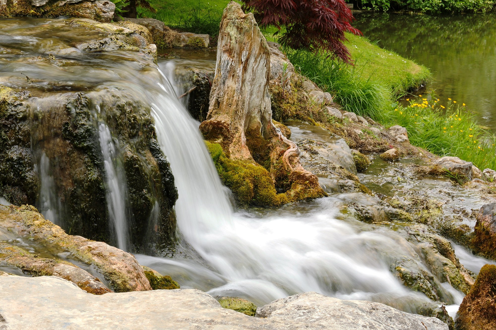A waterfall in the Japanese Gardens at the Irish National Stud, County Kildare