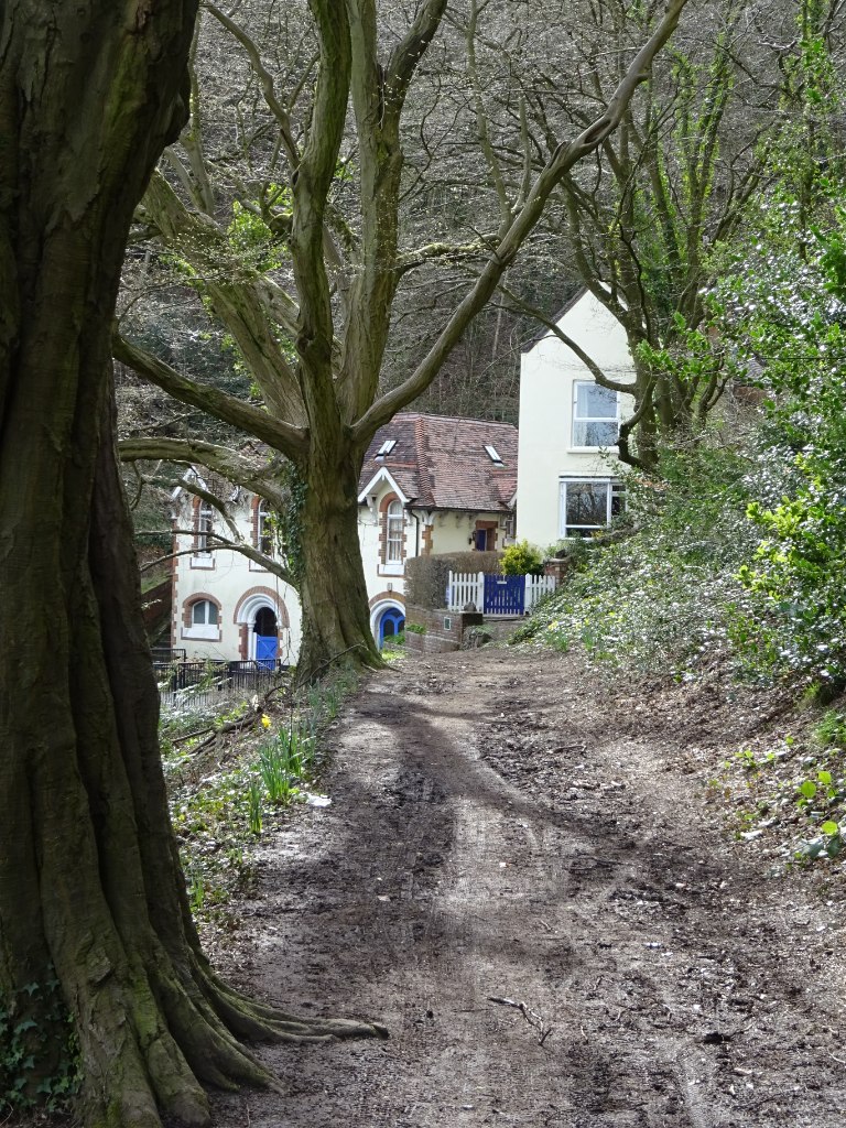Irish Pattern Day: Holy Well Traditions, History & Where to Find One