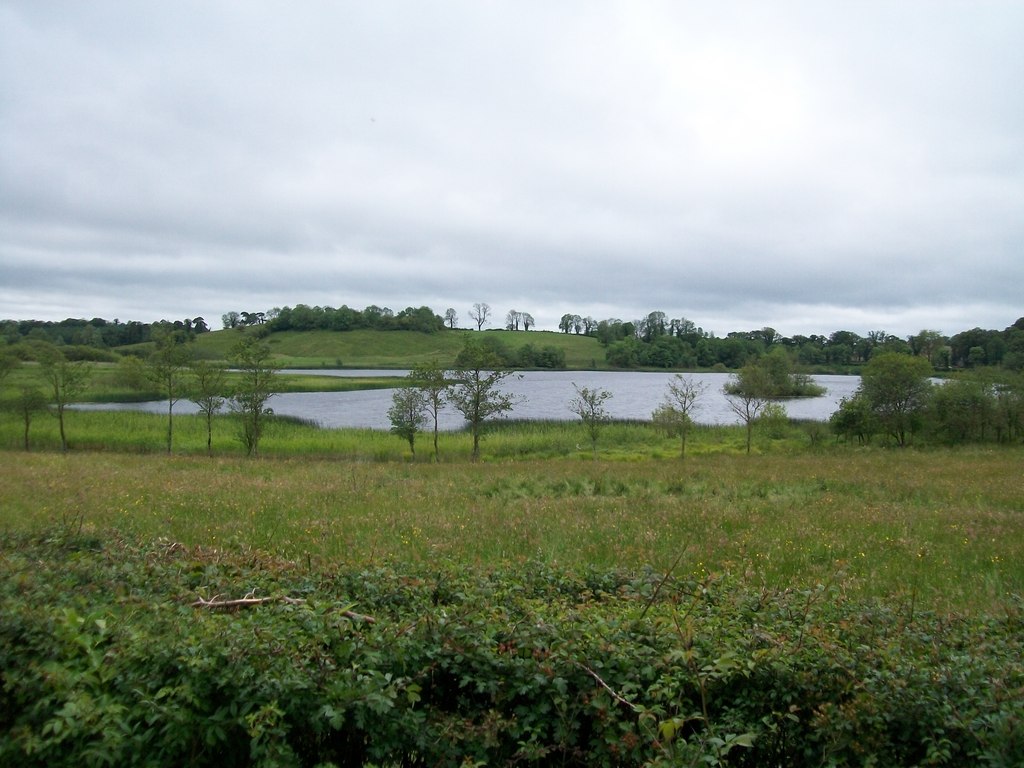 Irish Surnames from Cavan – Origins, Meanings & Heritage Roots