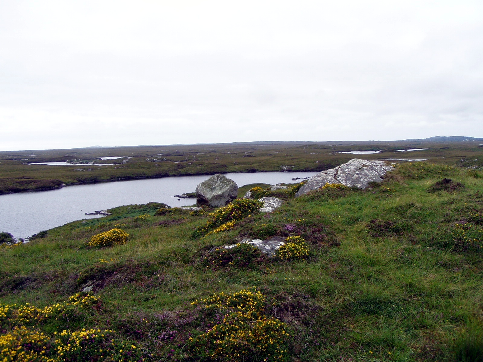 Irish Surnames from County Galway: Origins, Meanings and Heritage