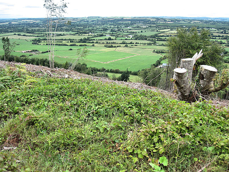 Irish Surnames from County Tipperary – Origins, Meanings & Heritage Roots
