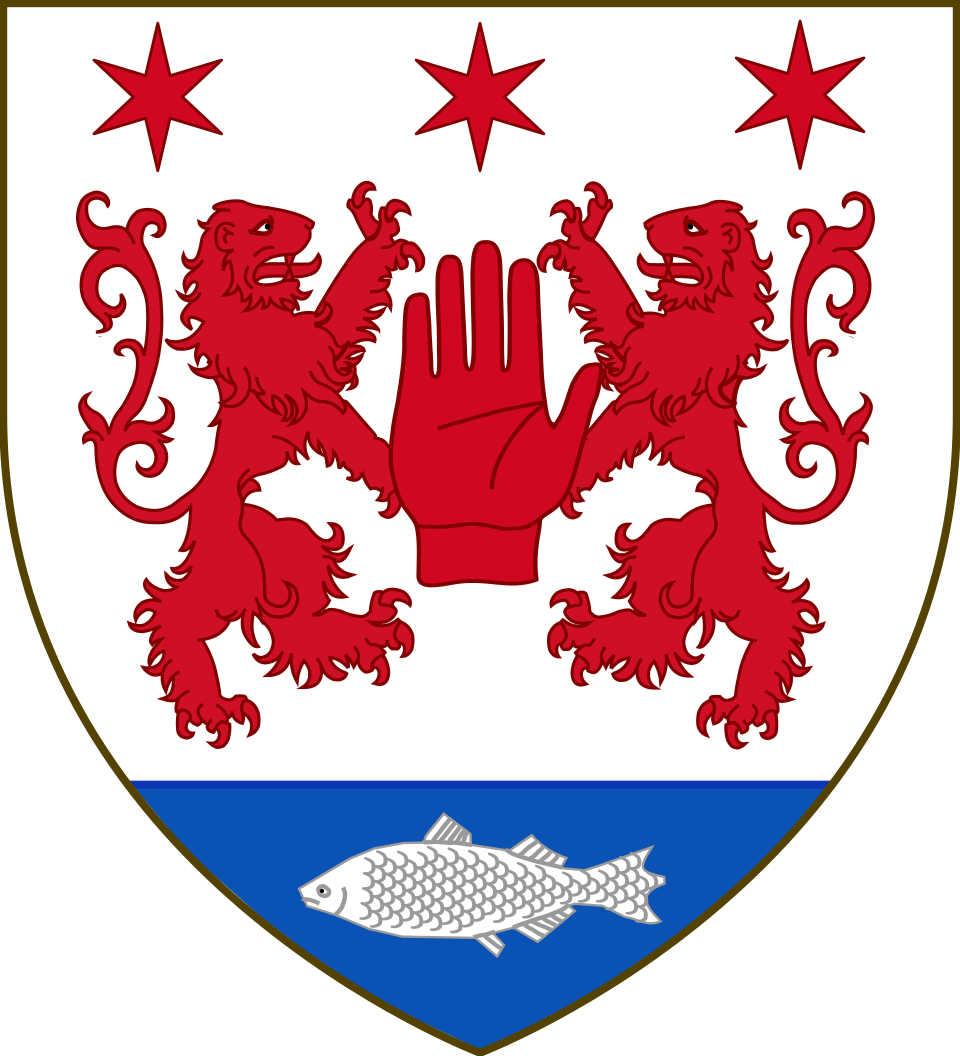 Irish Surnames from County Tyrone: Origins and Heritage