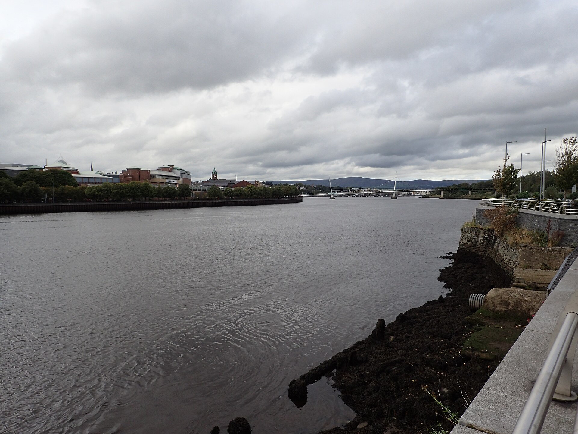 Irish Surnames from Derry – Origins, Meanings & Heritage Roots