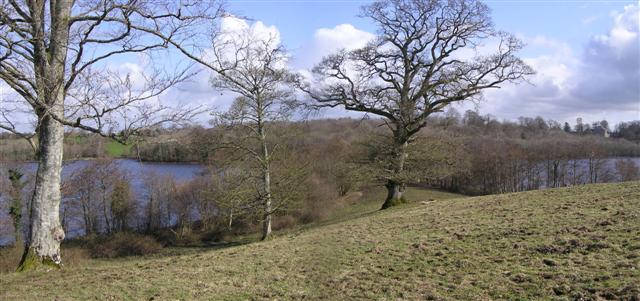 Irish Surnames from Fermanagh – Origins, Meanings & Heritage Roots