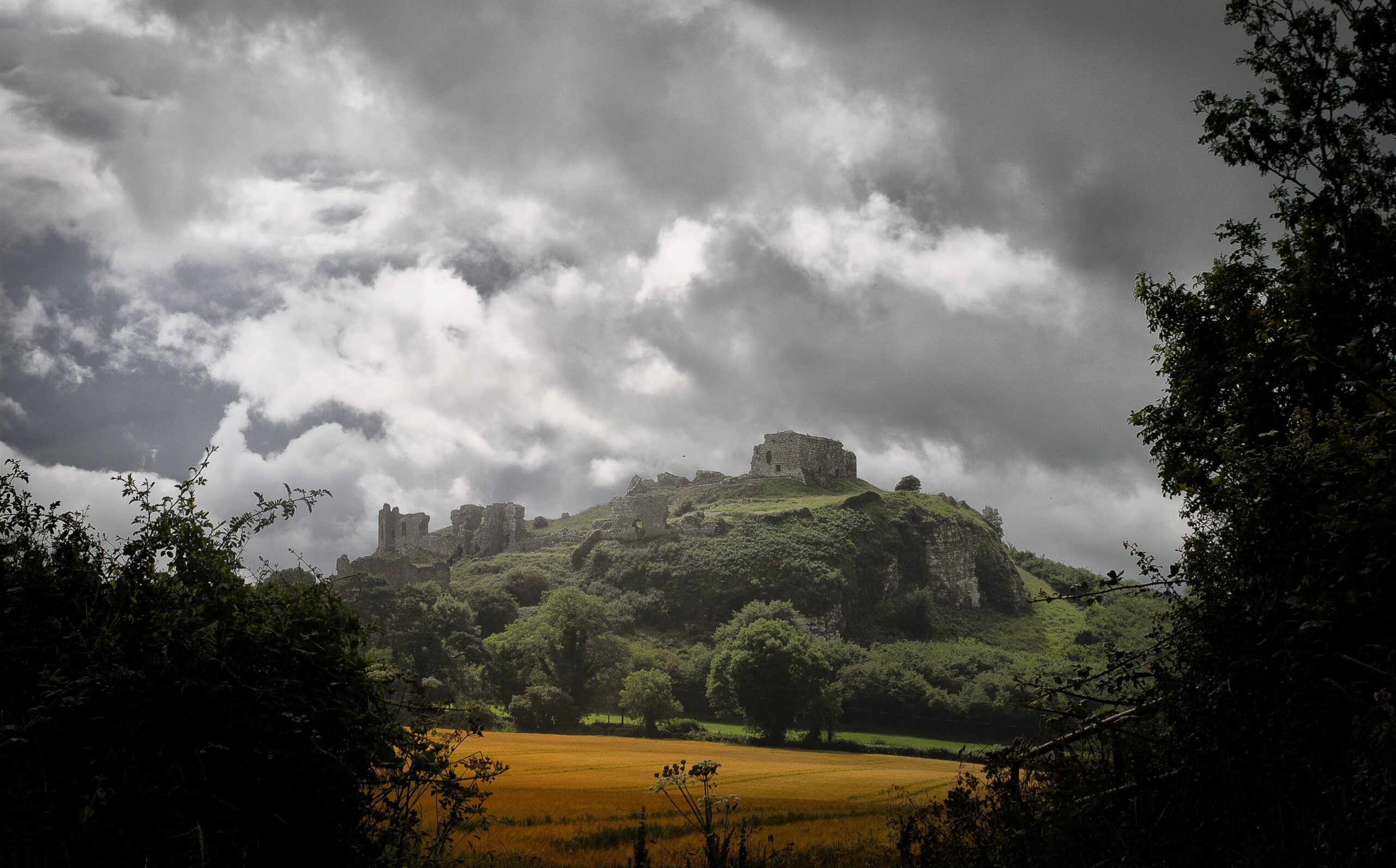 Irish Surnames from Laois – Origins, Meanings & Heritage Roots