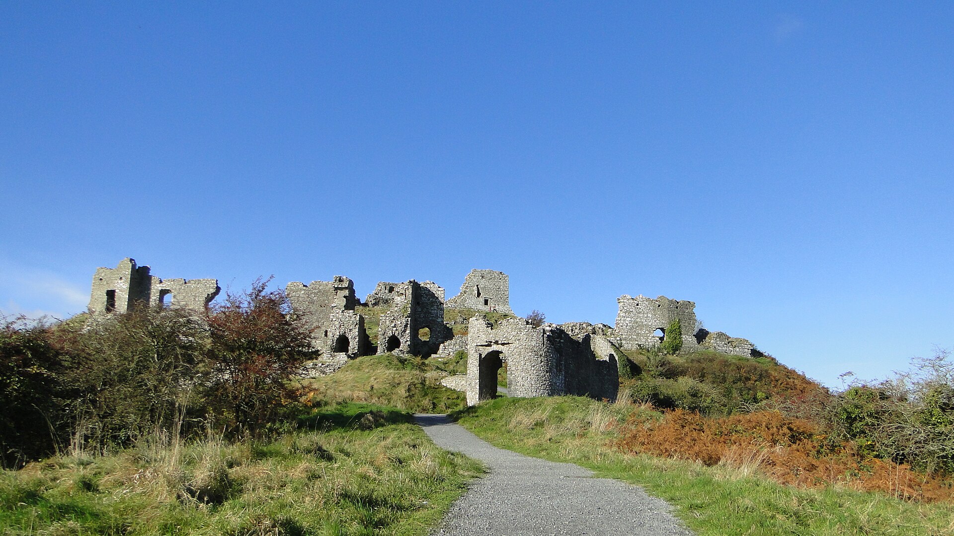Irish Surnames from Laois &ndash; Origins, Meanings & Heritage Roots