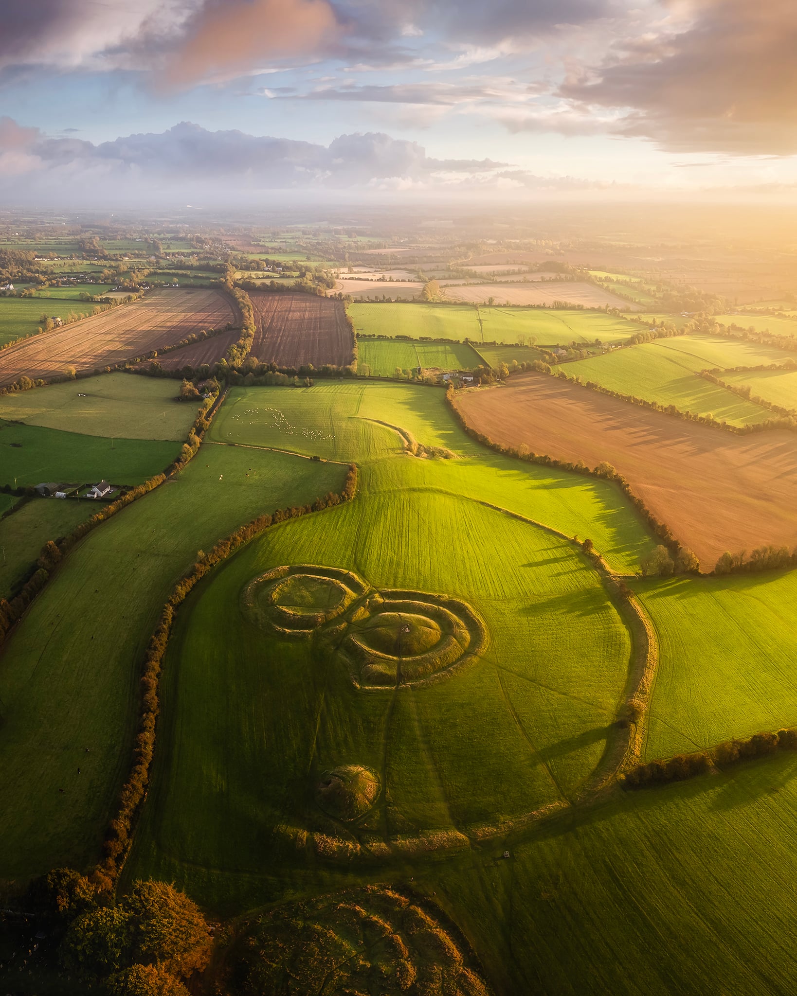 Irish Surnames from Meath &ndash; Origins, Meanings & Heritage Roots