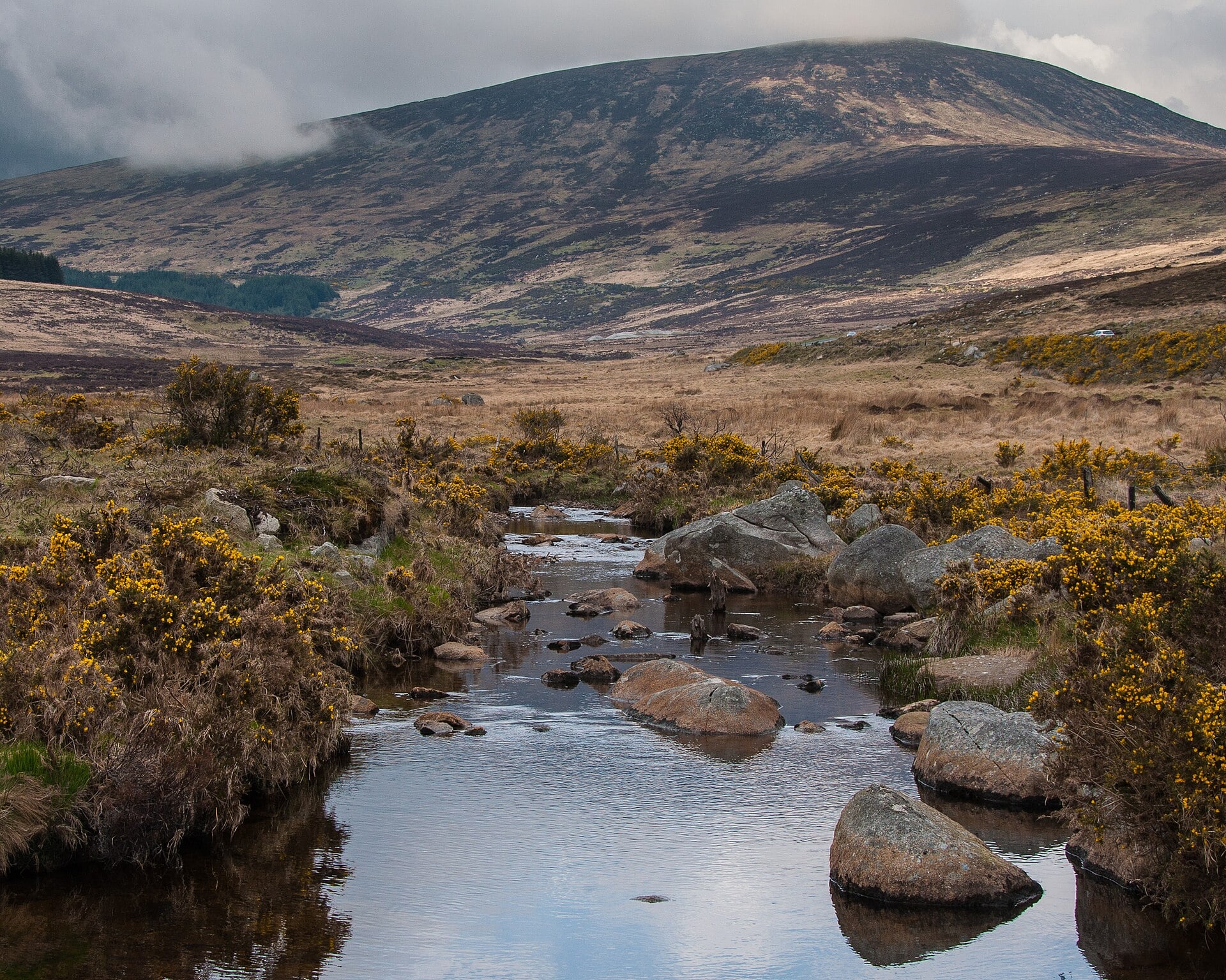 Irish Surnames from Wicklow &ndash; Origins, Meanings & Heritage Roots