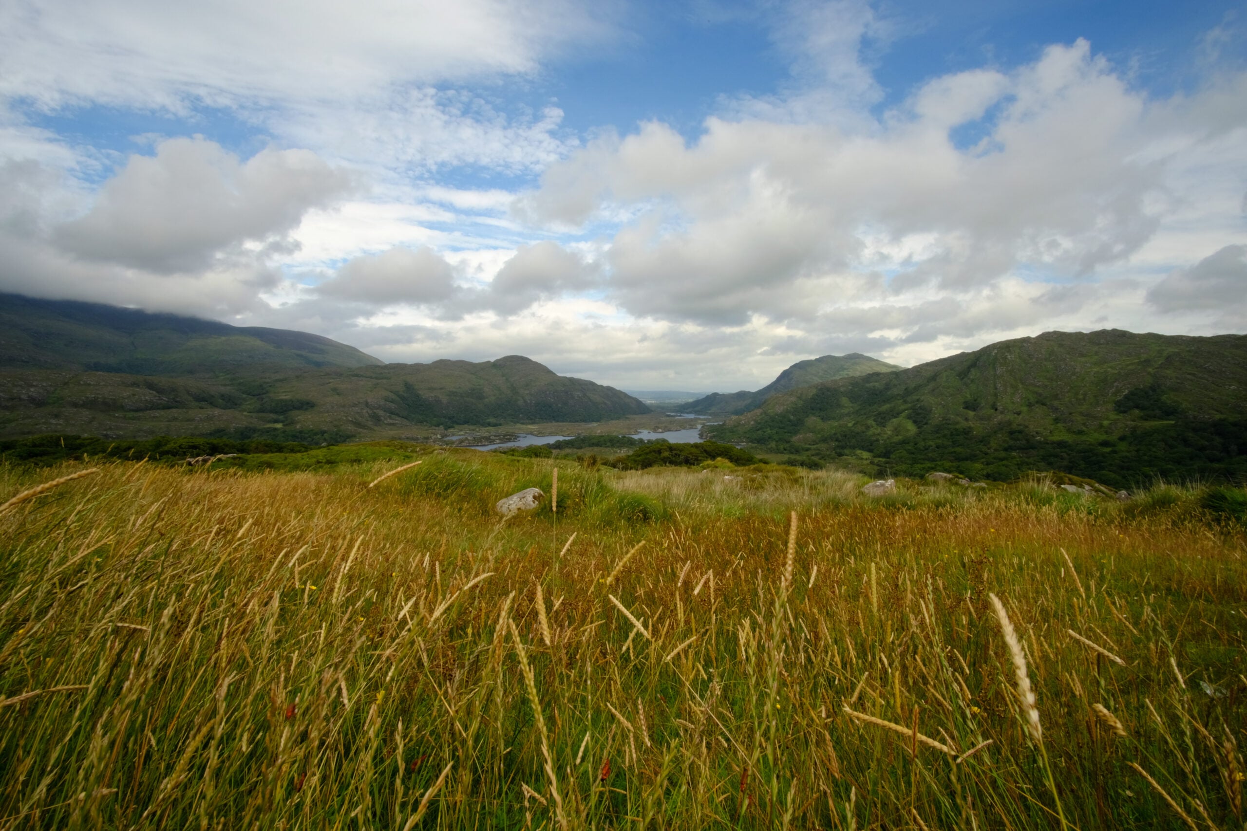 View over Ladies View lakes on the Ring of Kerry, Killarney National Park, County Kerry