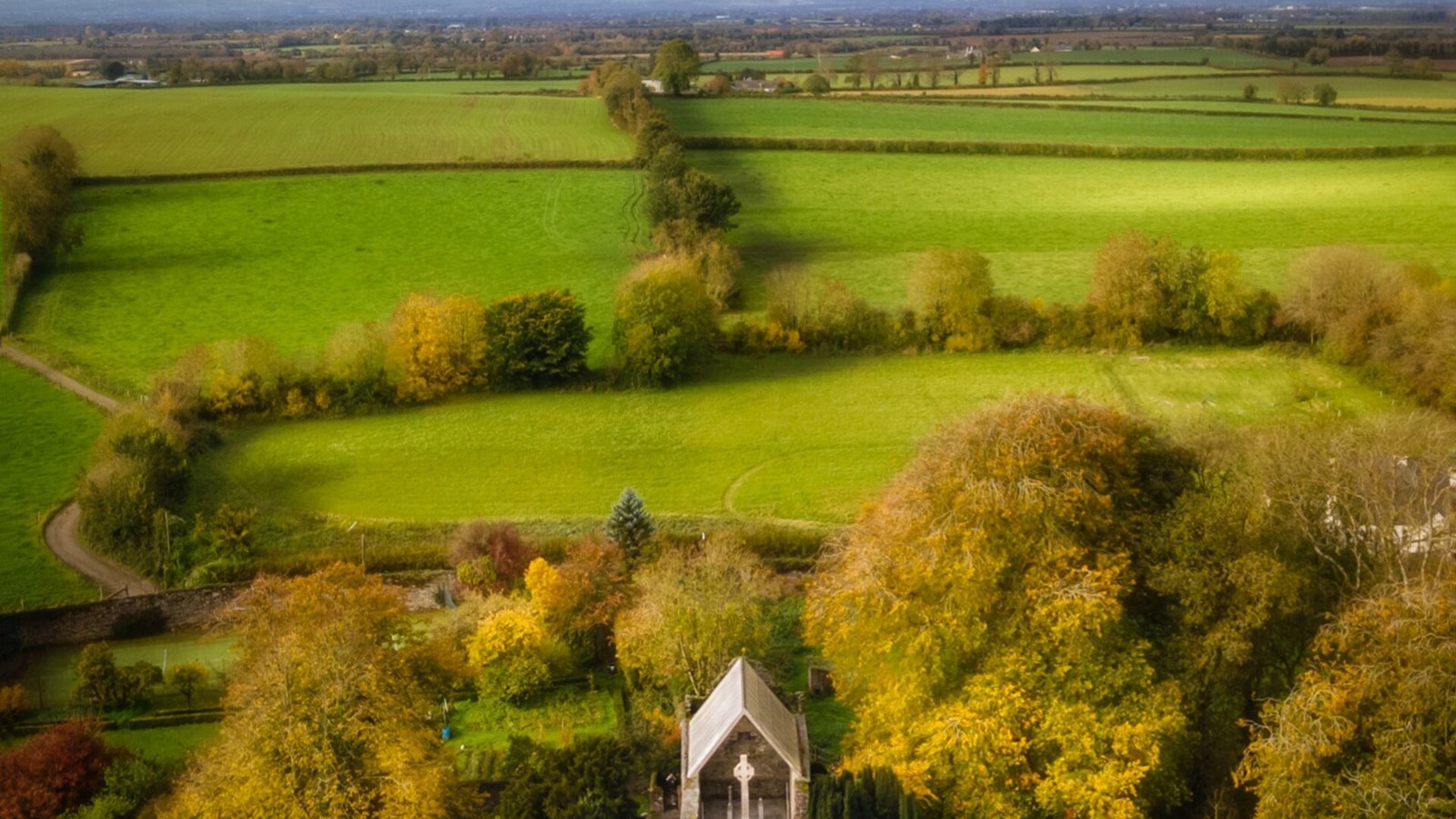 Moone High Cross