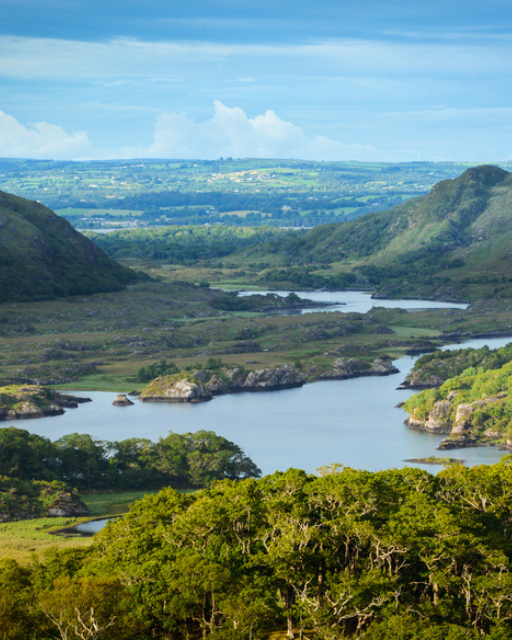The Name Irish People Use for Americans Who Come Home to a Country They&rsquo;ve Never Left
