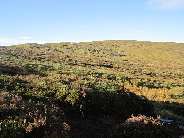 Heather moorland on the Sperrin Mountains, County Tyrone