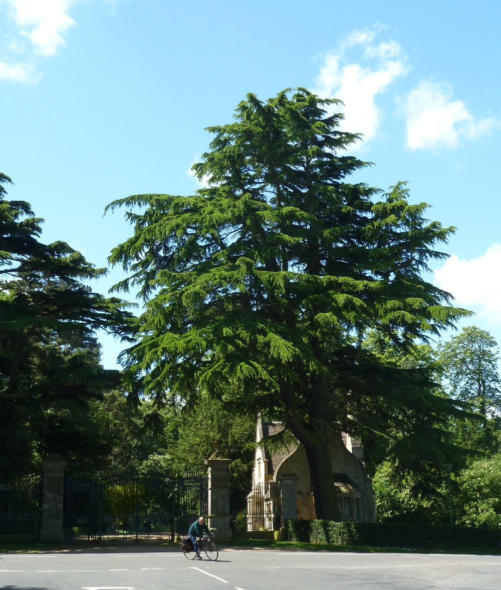 The Gate That Was Grander Than the Castle