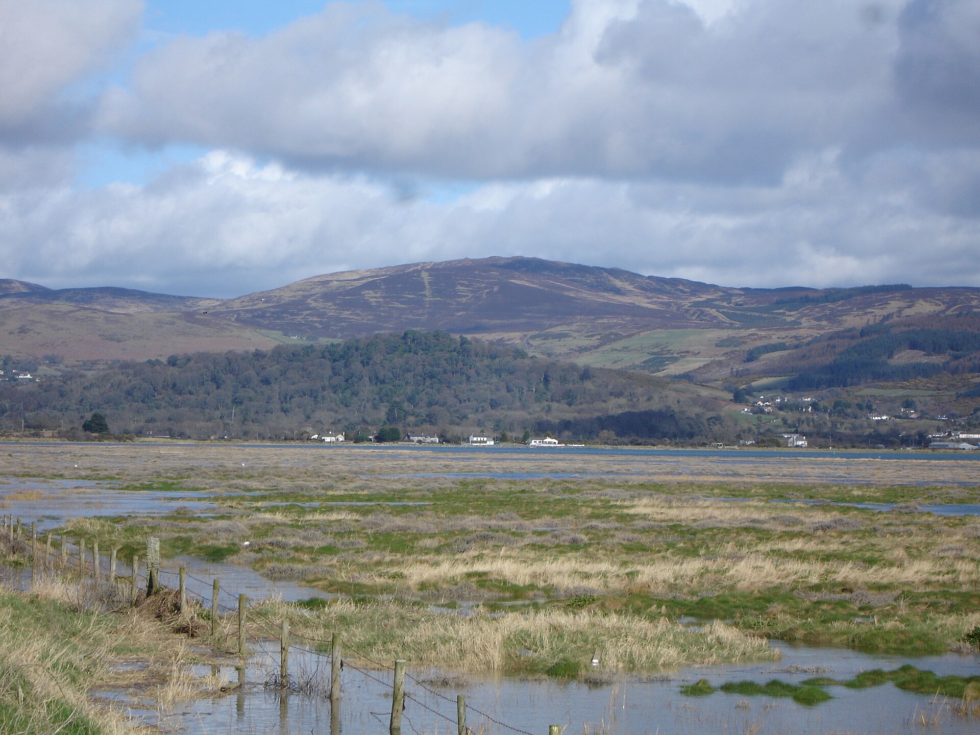 The Story Behind Eimear: Ireland’s Beloved Irish Girl Name