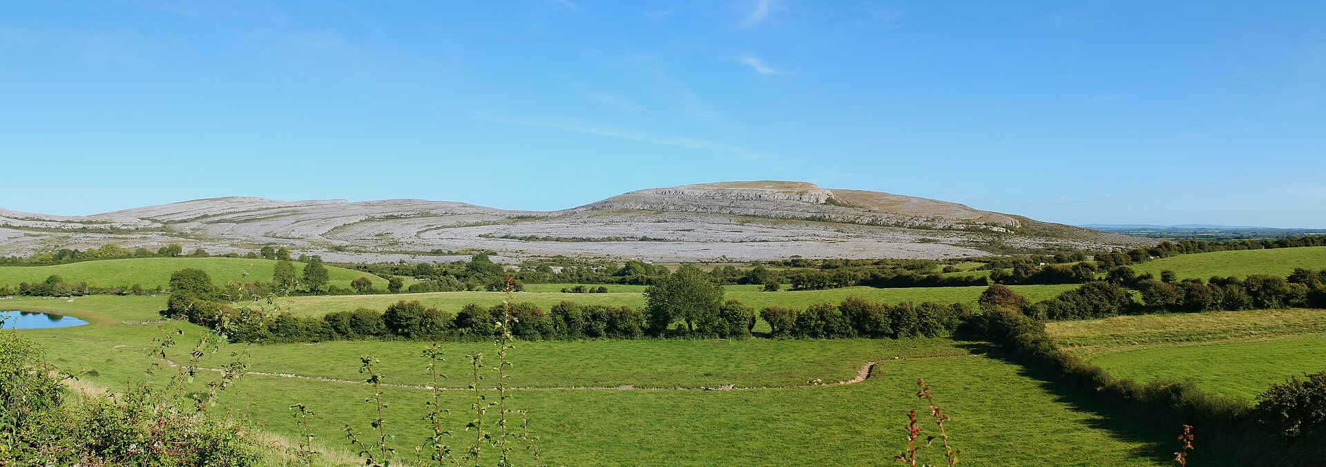 The Story Behind &Uacute;na: Ireland&rsquo;s Beloved Irish Girl Name