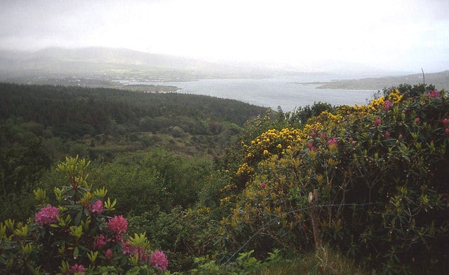 Top 10 Gardens to Visit in Ireland