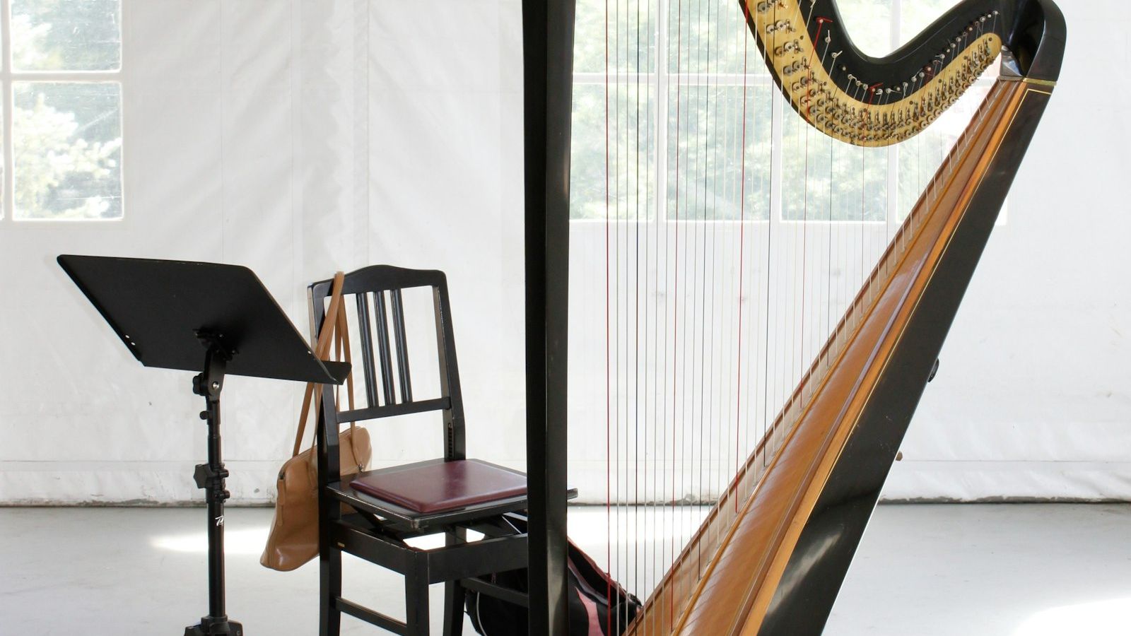 Why the Harp on Your Pint of Guinness Faces a Different Direction Than Your Passport