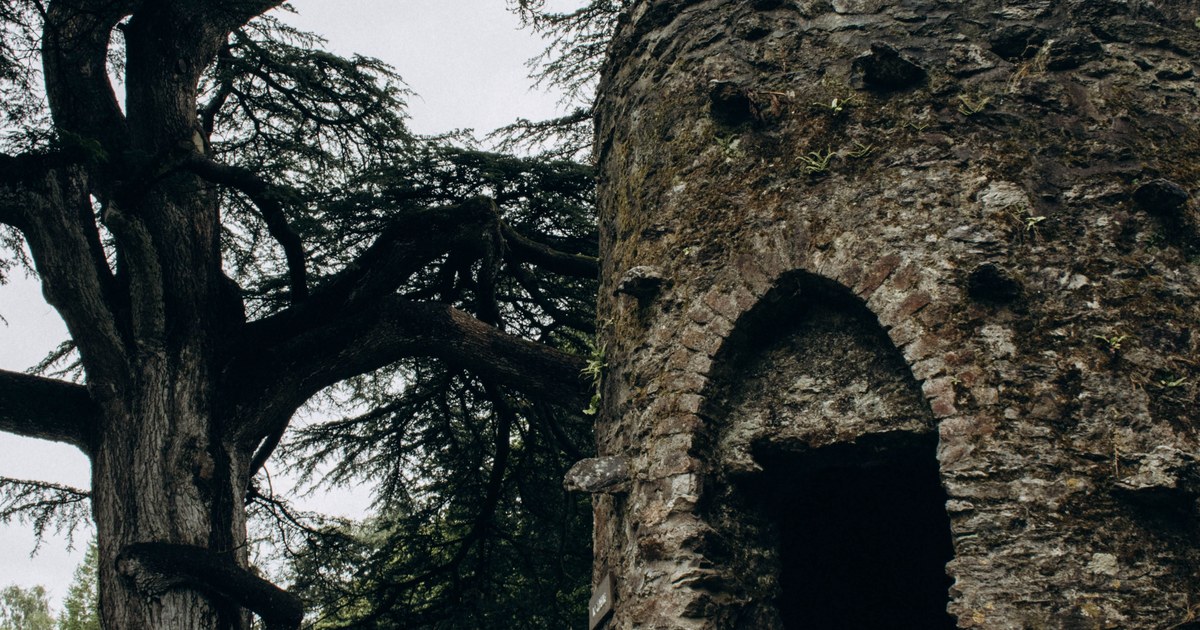 Birr Castle and Demesne