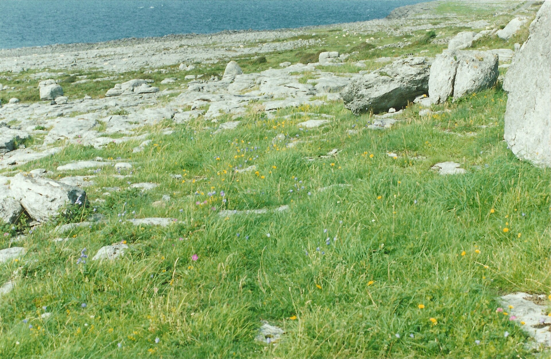 Burren limestone terraces meeting green pasture above Galway Bay