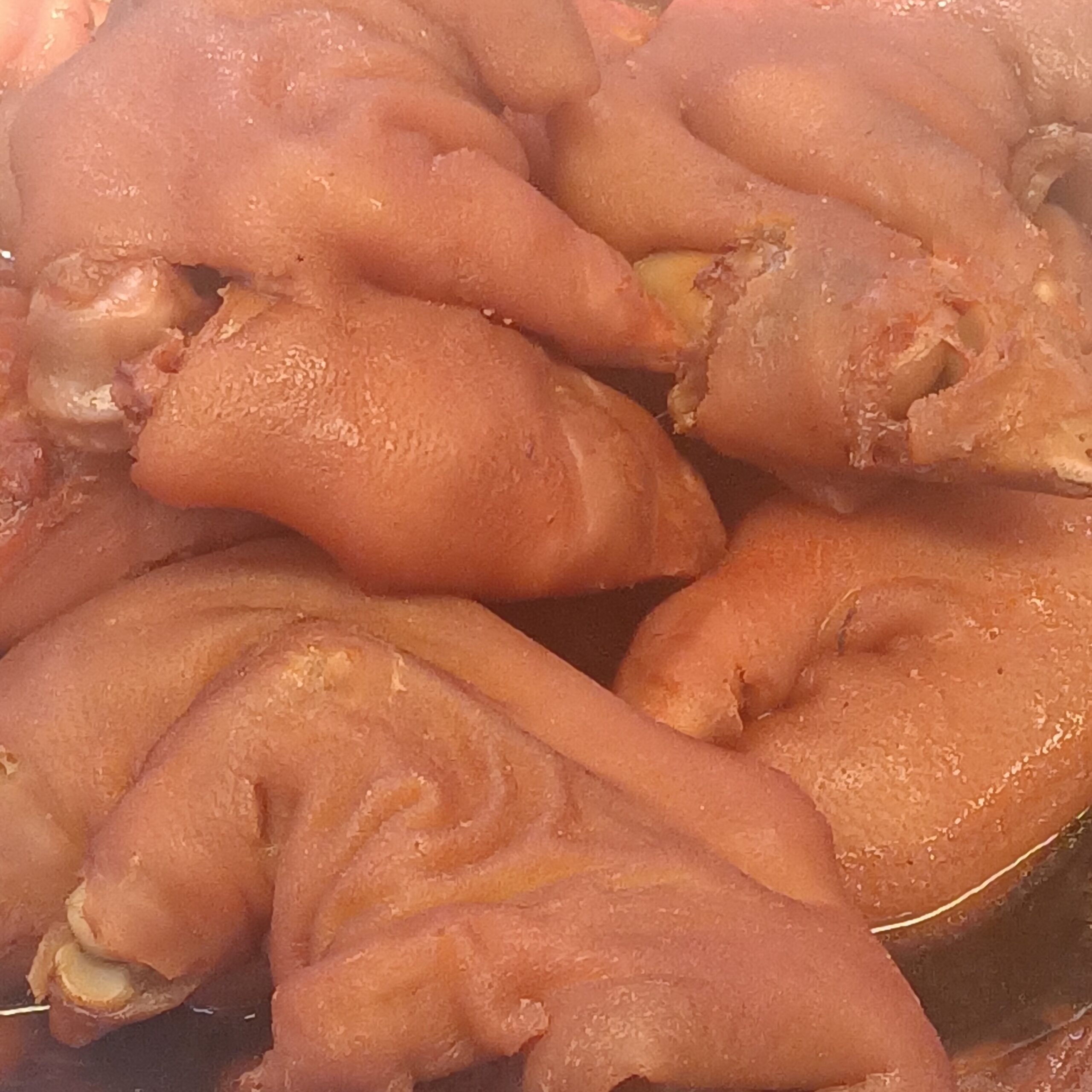 Glossy braised pig's trotters, the whole boiled hooves before they are breaded and pan-fried for crubeens