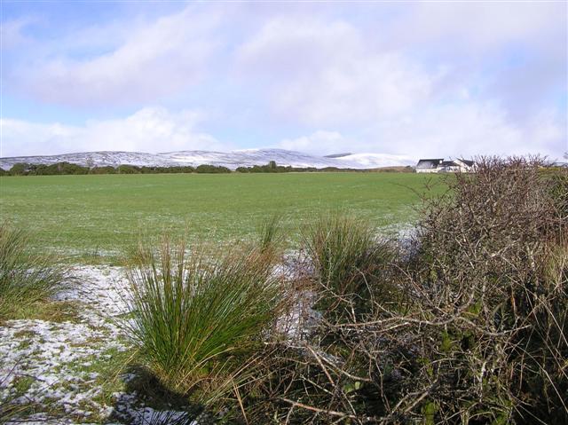 Green fields and snow-capped hills in an Irish townland, the kind of small rural address recorded in the 1926 census