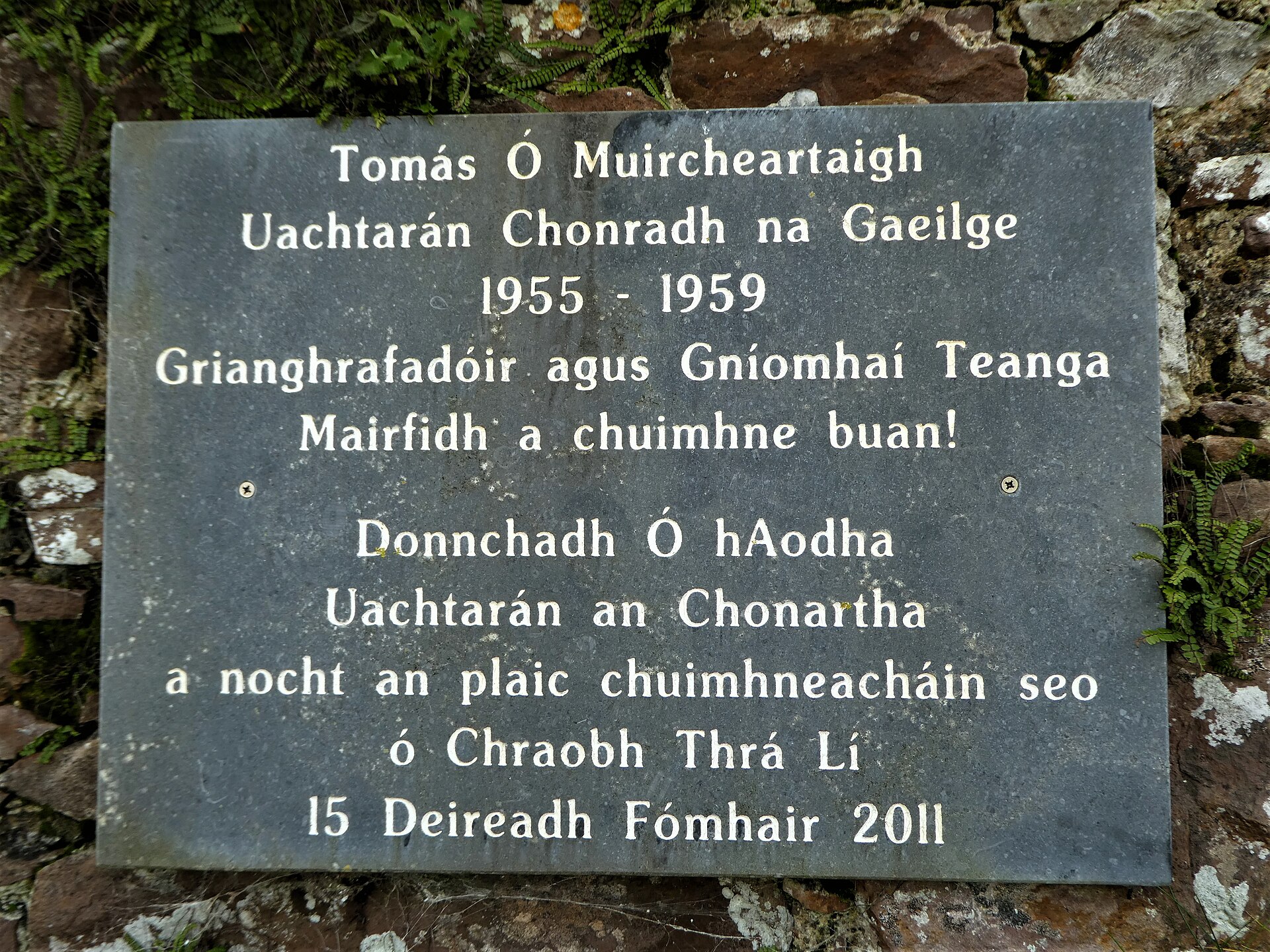 Irish Words With No English Translation: Meanings & Examples