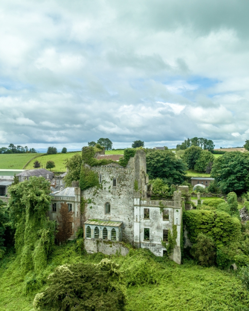Ruined stone castle surrounded by green vegetation and overgrown grounds under cloudy sky