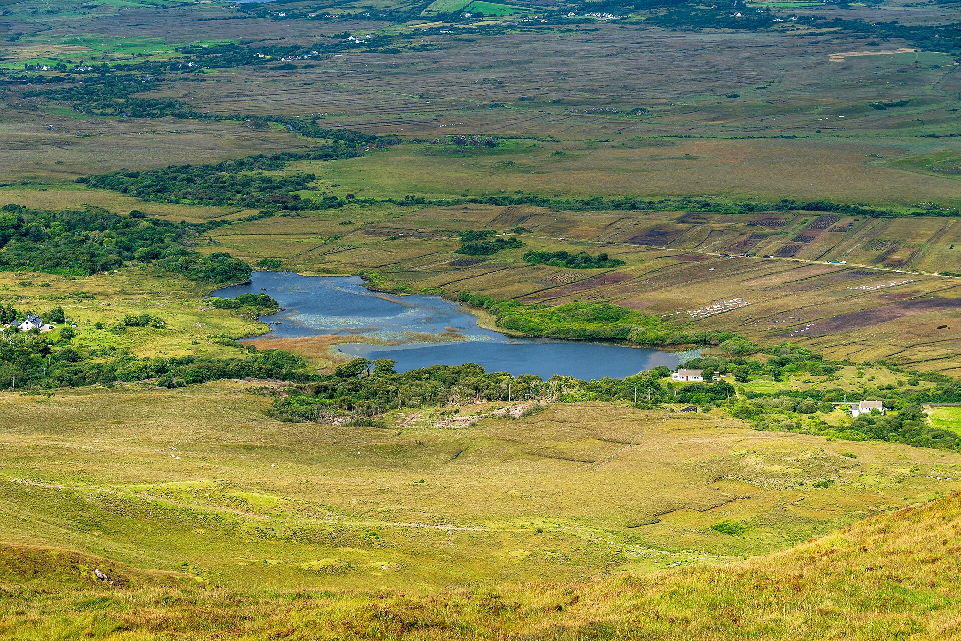 Retiring in Ireland: Cost of Living, Visas & What Life Really Looks Like