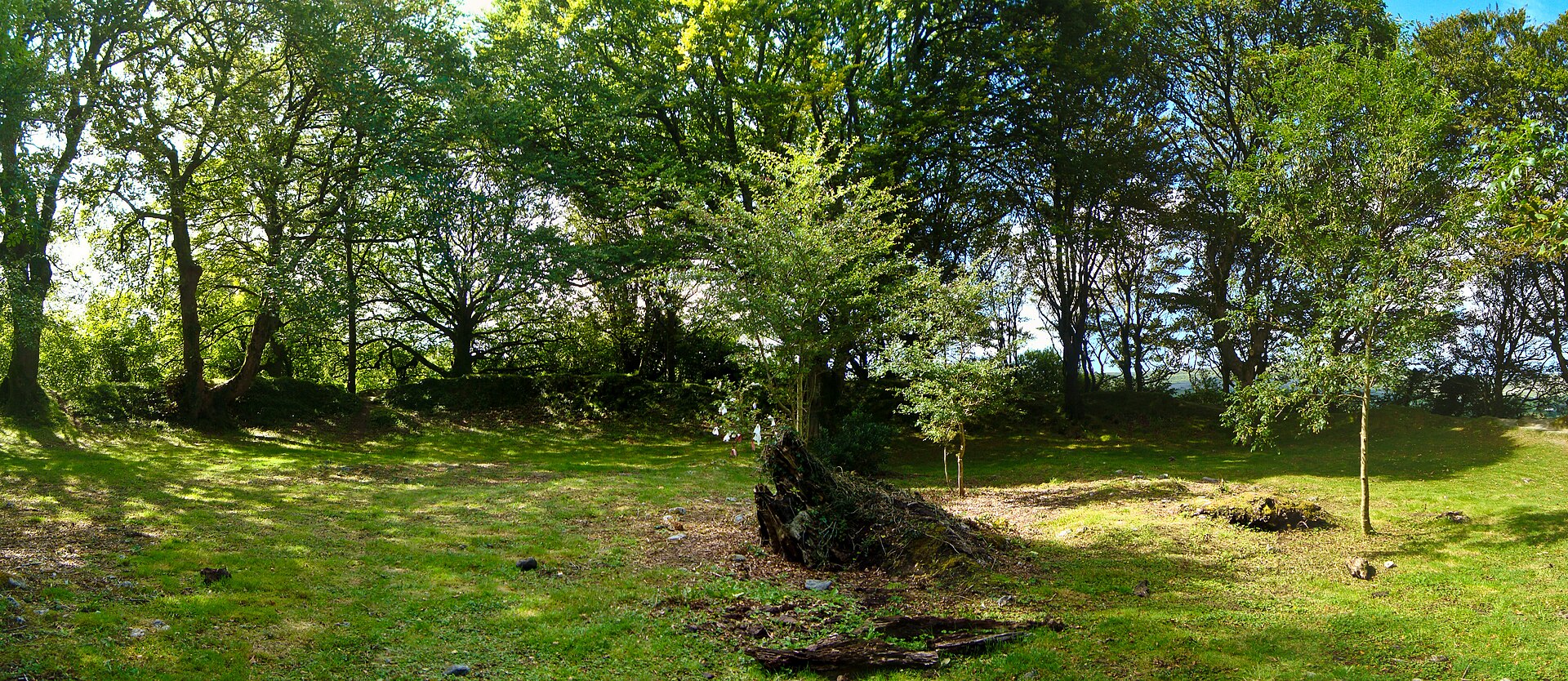 The Fairy Tree in County Clare: Why Road Builders Avoid It