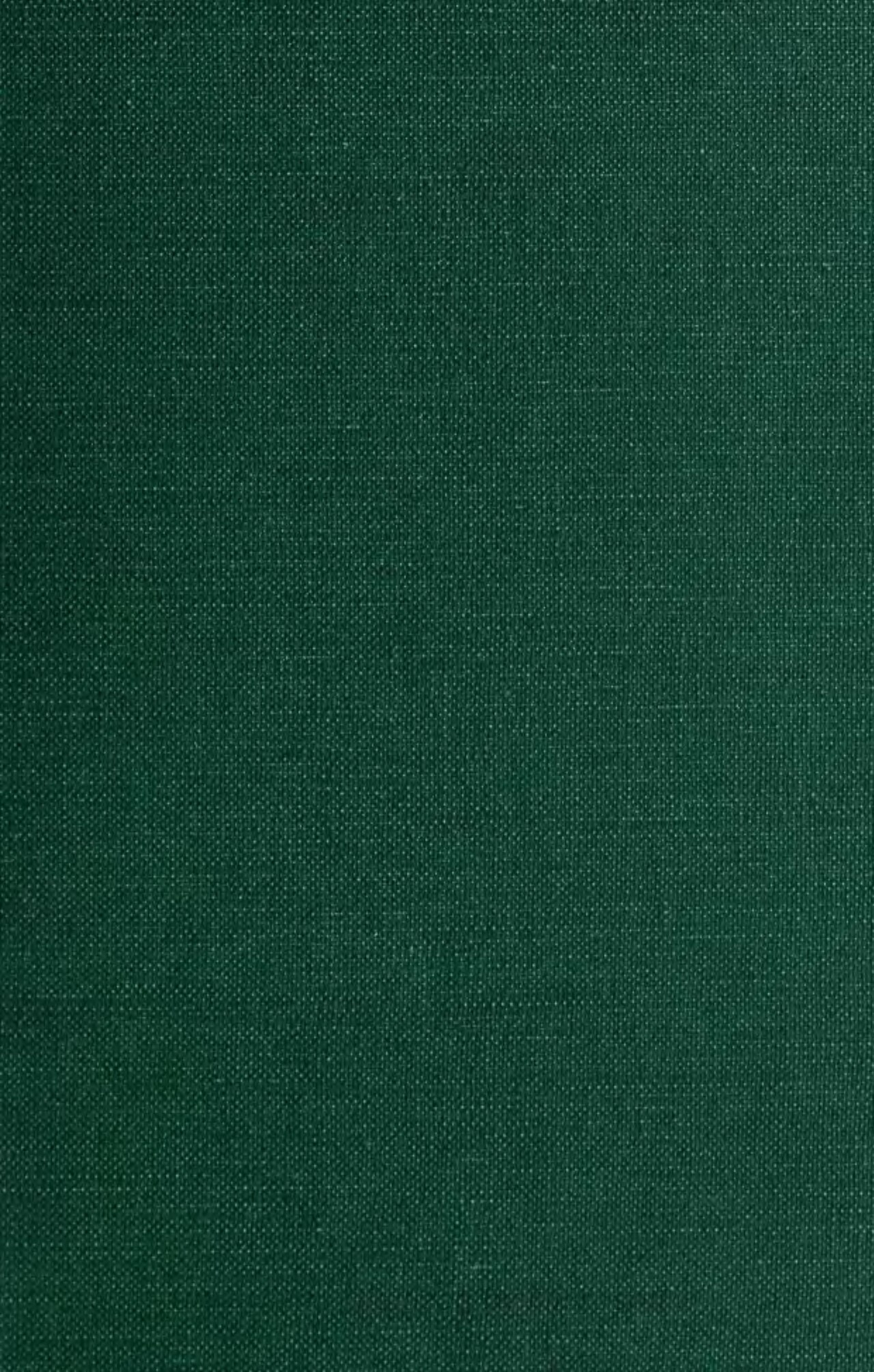 The Love Ireland Guide № 006: Irish Slang & Hiberno-English