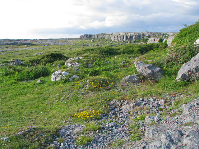 The Rocky Wilderness That Produces Ireland’s Most Remarkable Food