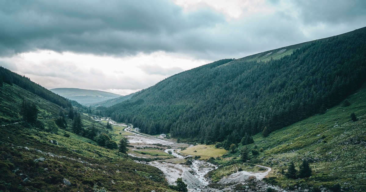 The Wicklow Way