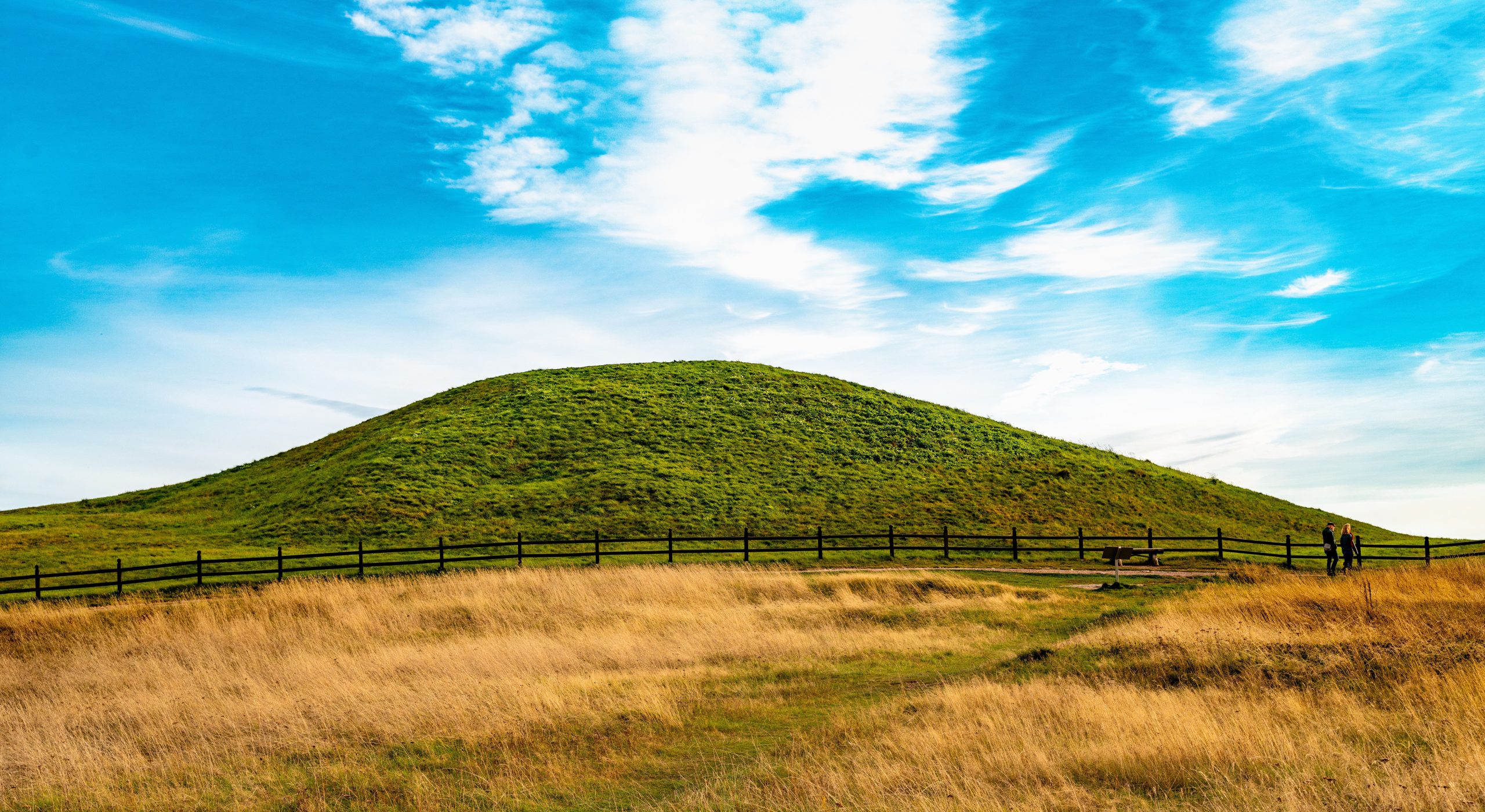 Who Would You Take on a Trip to Ireland?