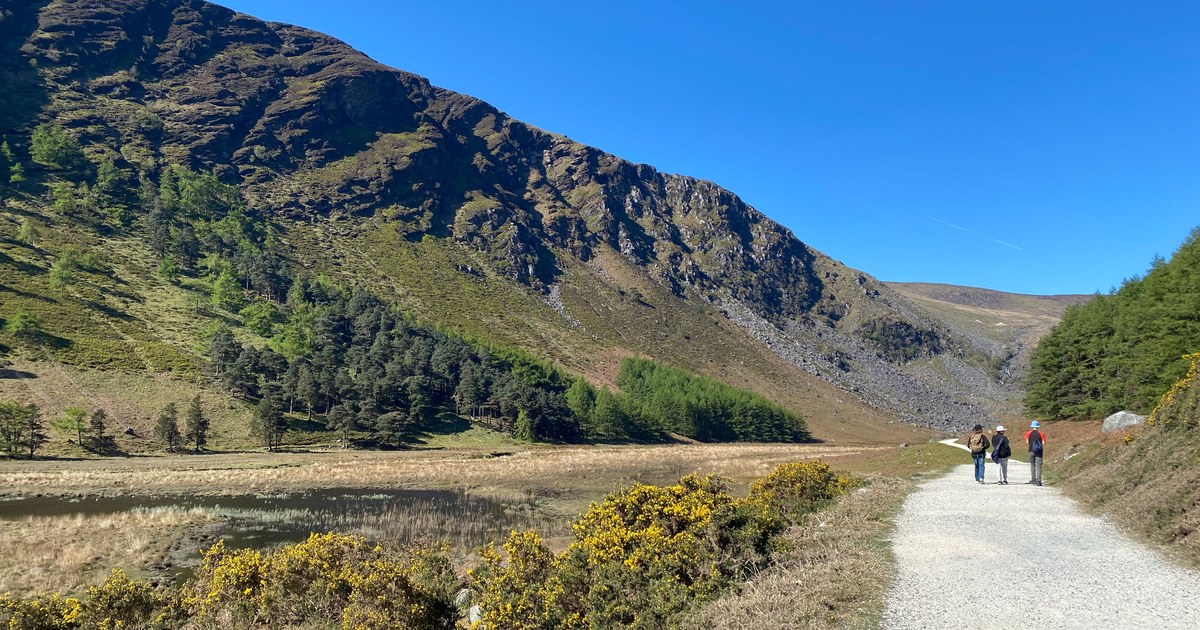 Wicklow Mountains National Park