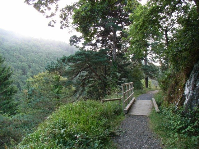 Devil's Glen, County Wicklow, Ireland