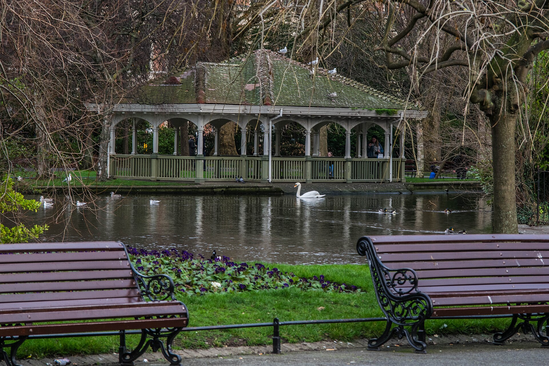 Wooden park benches beside the lake at St. Stephen's Green in Dublin, with a swan on the water and the green-roofed pavilion behind