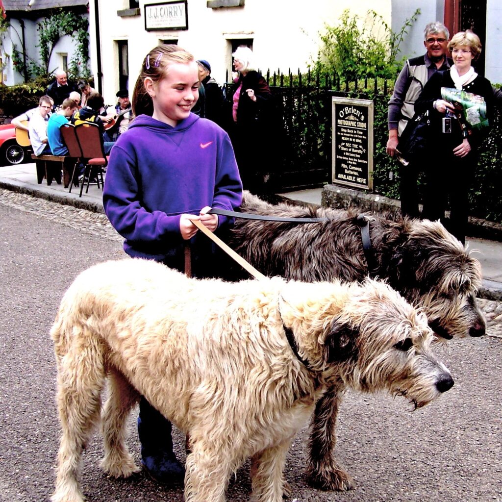 The village street at Bunratty Folk Park, County Clare