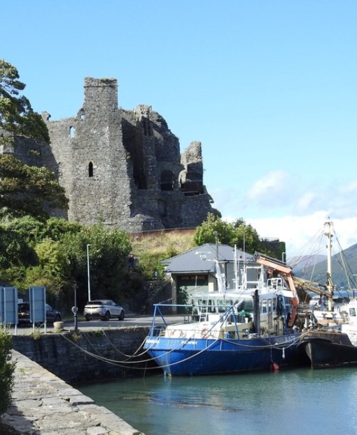 Carlingford harbour and castle ruins, County Louth