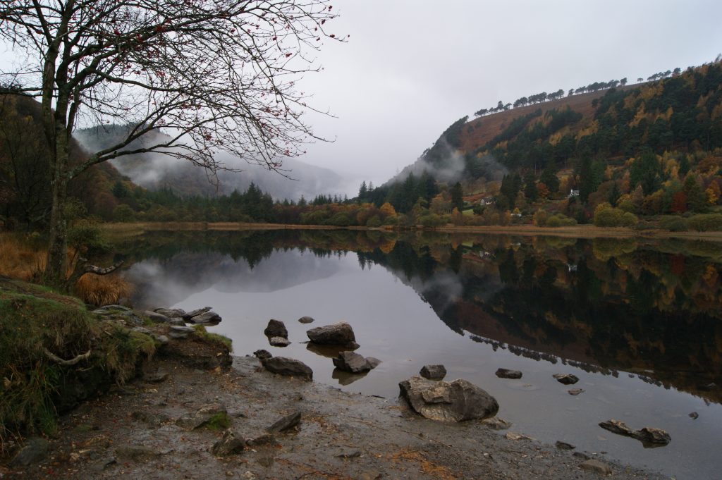 Misty autumn morning at Glendalough's Upper Lake in the Wicklow Mountains, with golden foliage reflected in the still water