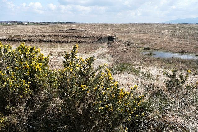 A raised peat bog in County Kerry, Ireland, showing cut turf banks — the acidic, oxygen-free wetland conditions in which Iron Age bog bodies like Clonycavan Man have been preserved for over 2,000 years