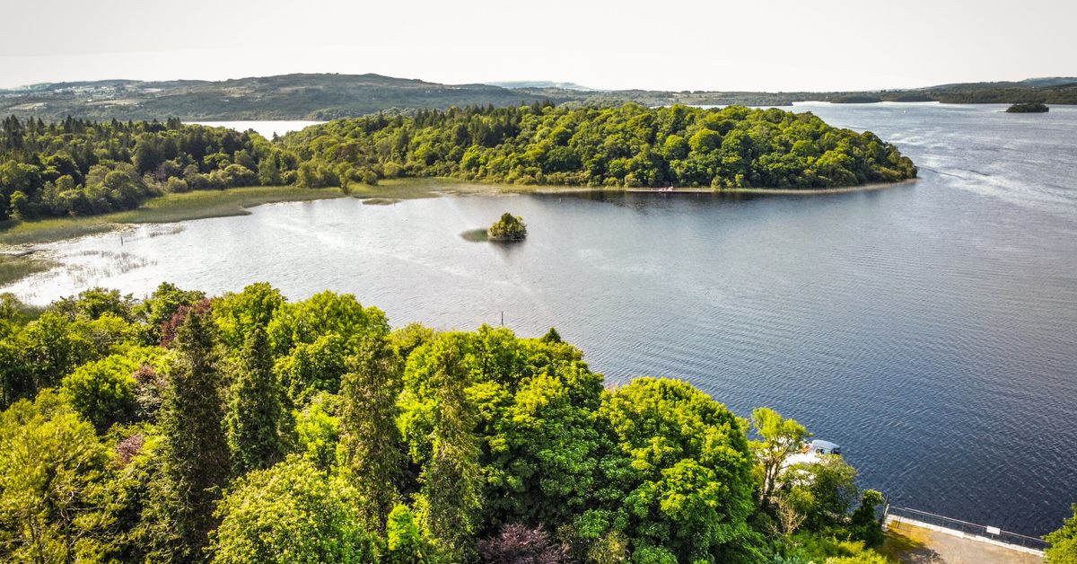 Aerial view of Lough Key Forest Park with wooded islands, County Roscommon, Ireland